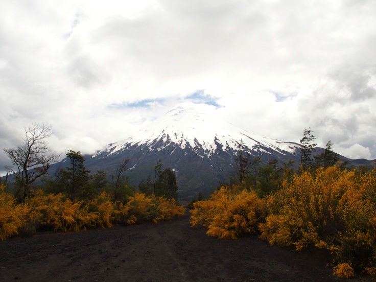 Trekking Volcan Osorno