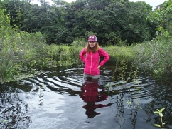 L'aventure commence - Parc Pantanal